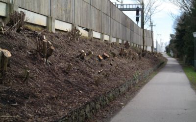 SZ-Ebersberg berichtet wieder über Zornedinger Schandfleck-Internetseite