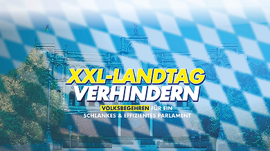 Informationsstand zur Initiative „XXL-Landtag verhindern“ mit der FDP Vaterstetten ab 10 Uhr
