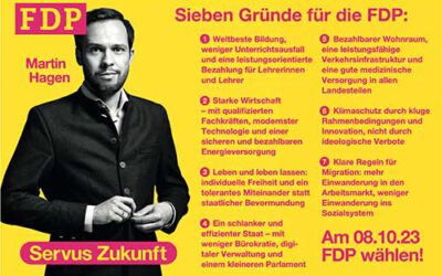 Sieben Gründe für die FDP