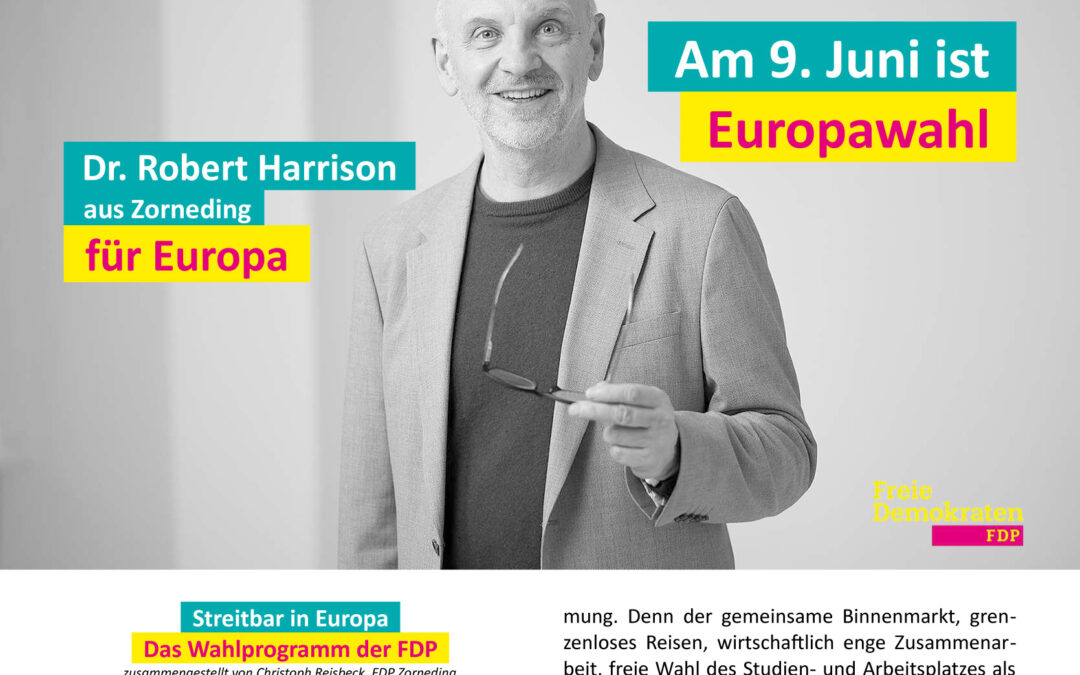 Liberaler Blick Nr. 6 – Unser Europa-Wahlprogramm